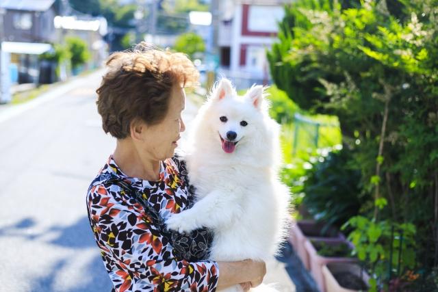 写真:【事例】日中を家で一人で過ごしていたU様